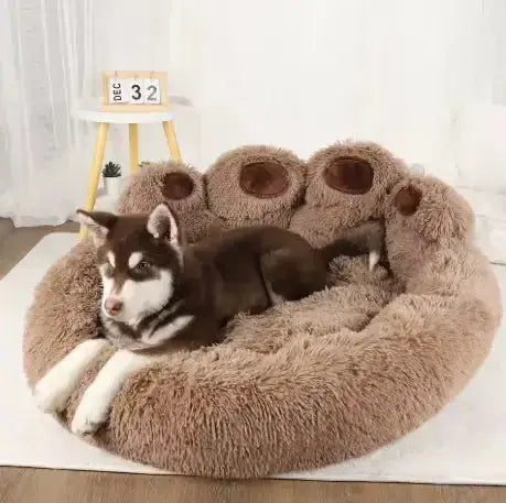 Canapé Moelleux – Un cocon de douceur et de confort Chien