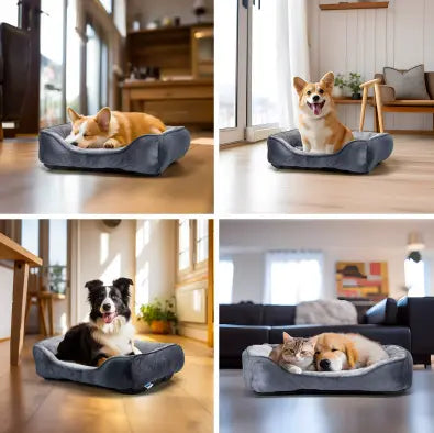 Canapé Lavable pour Chien – Confort, hygiène et style pour votre compagnon Chien