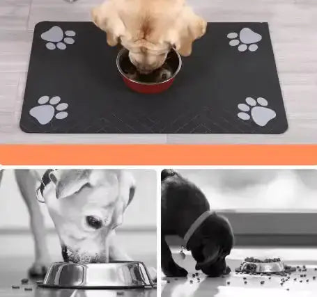 Napperon Absorbant pour Chien – Propreté et hygiène au quotidien Chien
