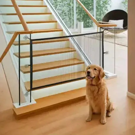 Clôture de Sécurité – Protection, liberté et tranquillité Chien