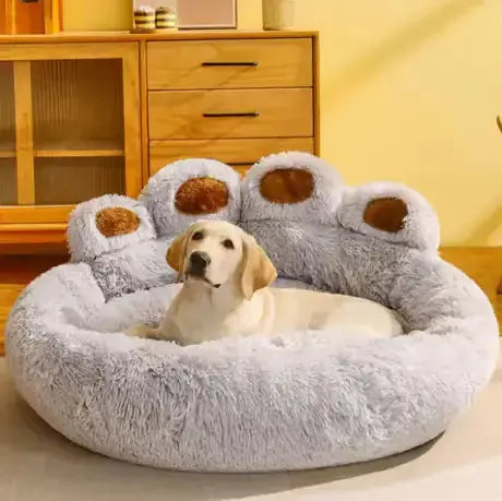 Canapé Moelleux – Un cocon de douceur et de confort Chien