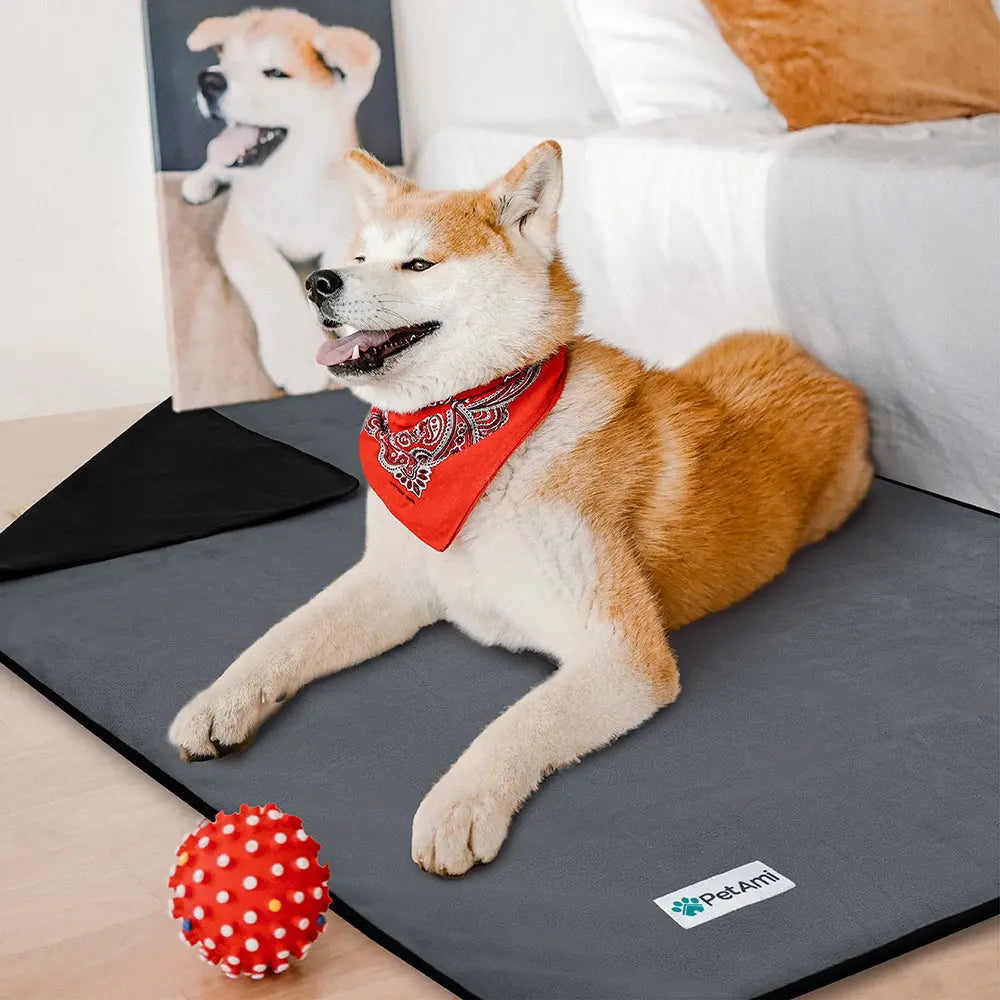 Couverture Waterproof pour Chien – Protection, confort et praticité Chien
